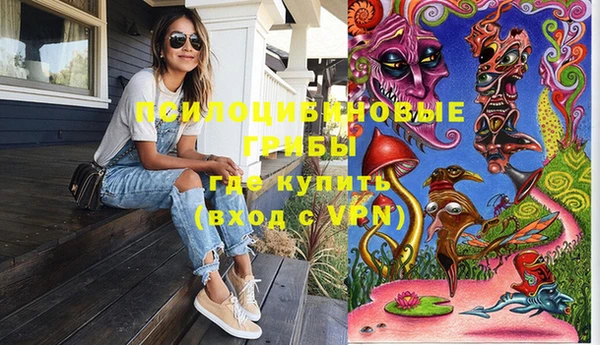 шишки Алексеевка