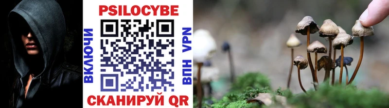 Галлюциногенные грибы мицелий  Ишимбай 
